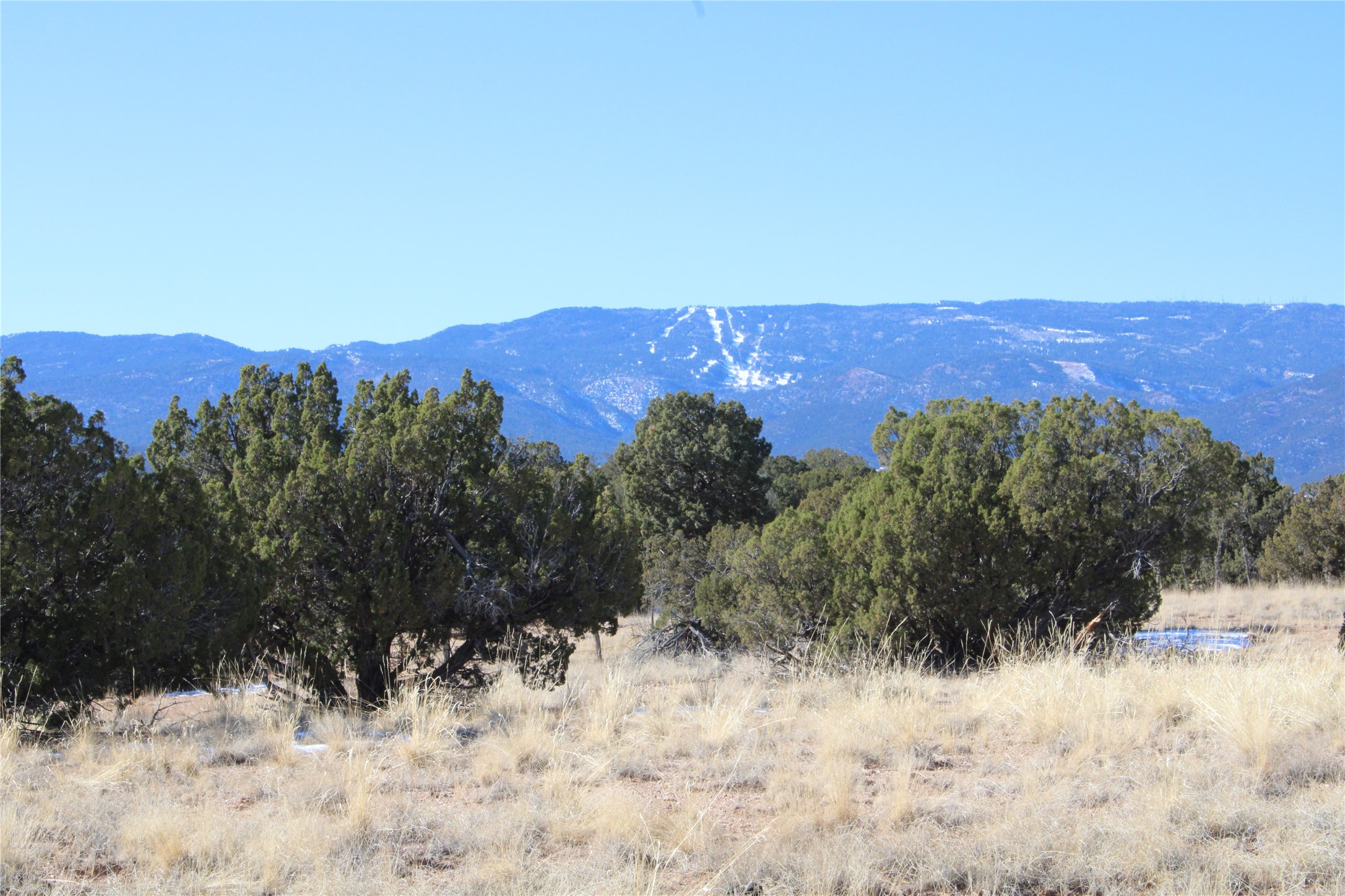 105 Acres, Sandia Park, New Mexico image 2