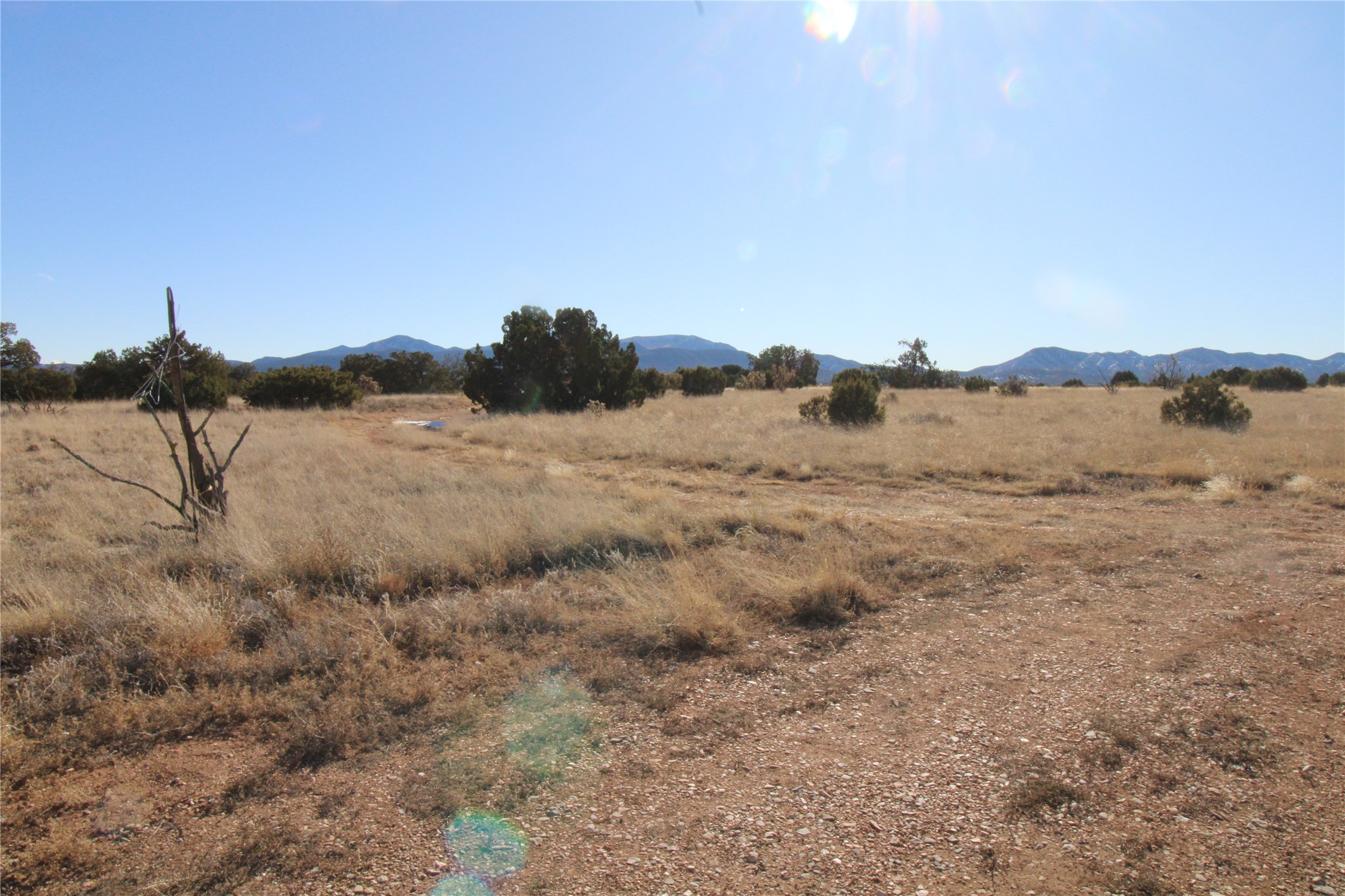 105 Acres, Sandia Park, New Mexico image 8