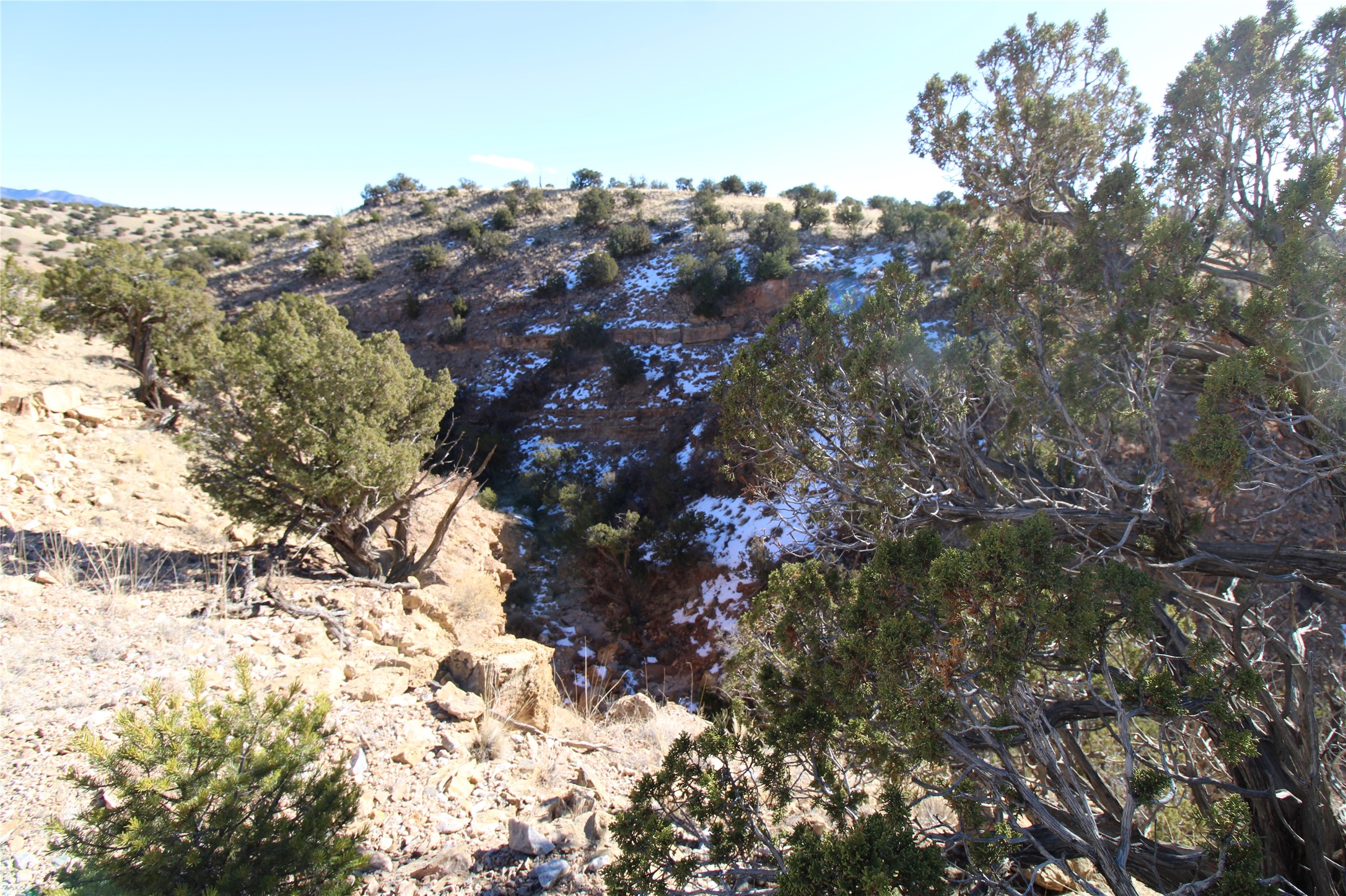 105 Acres, Sandia Park, New Mexico image 9