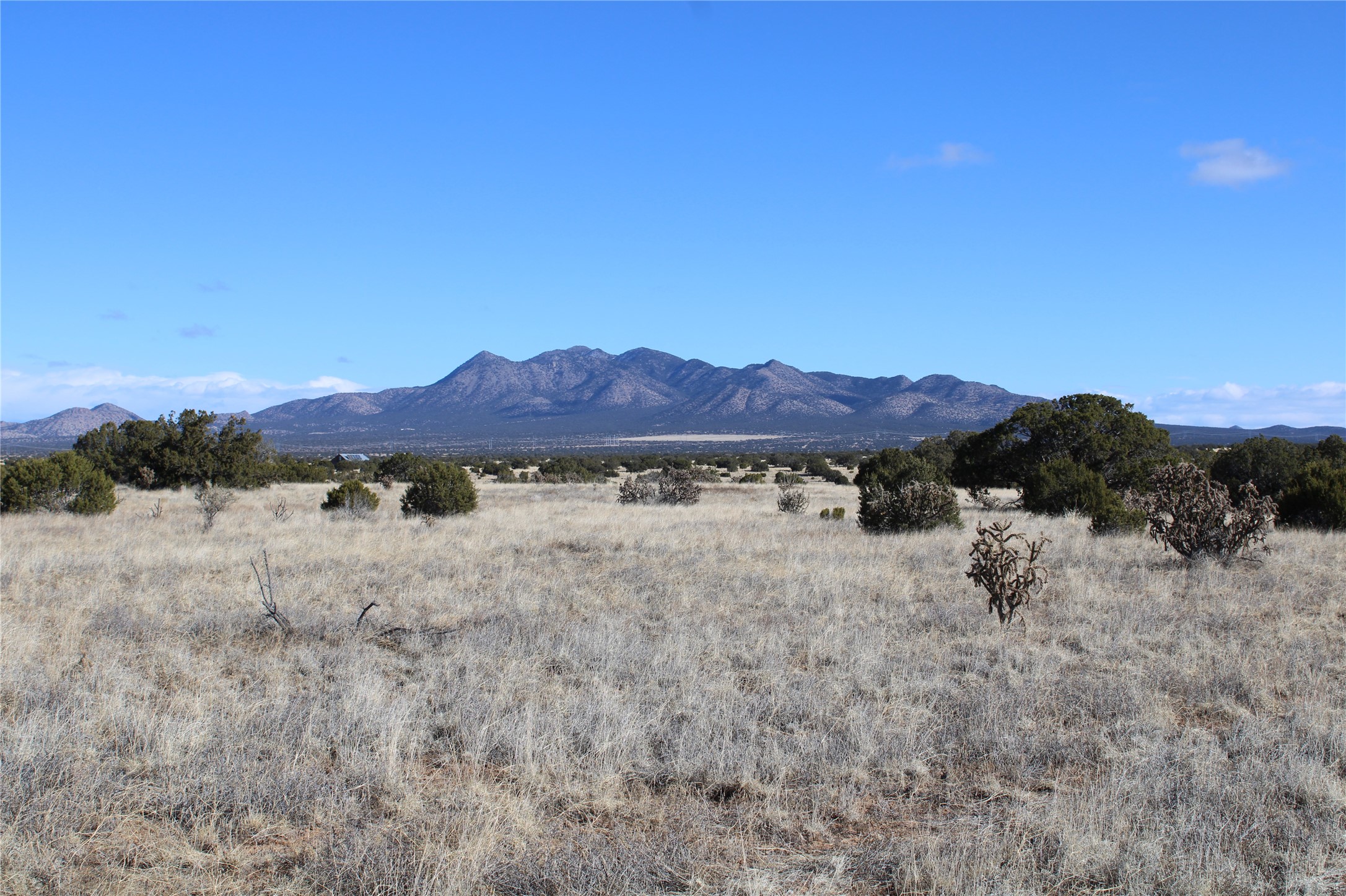 105 Acres, Sandia Park, New Mexico image 5