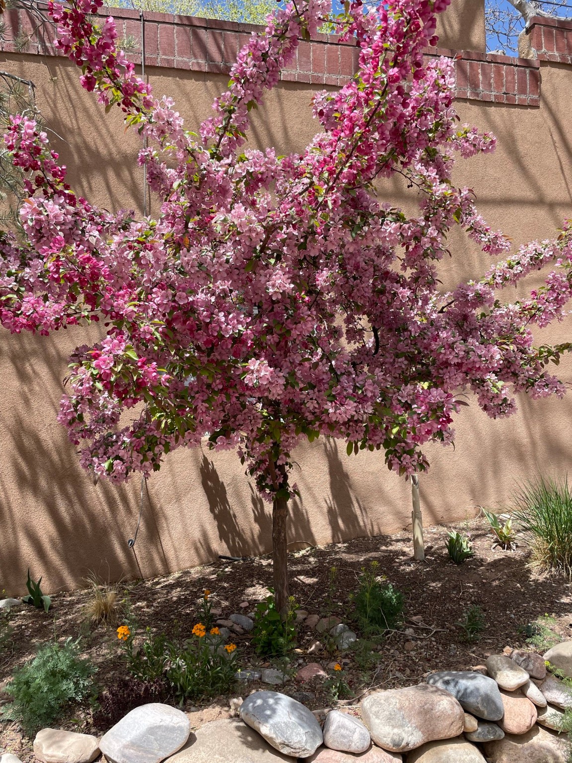 856 E Palace Avenue, Santa Fe, New Mexico image 26