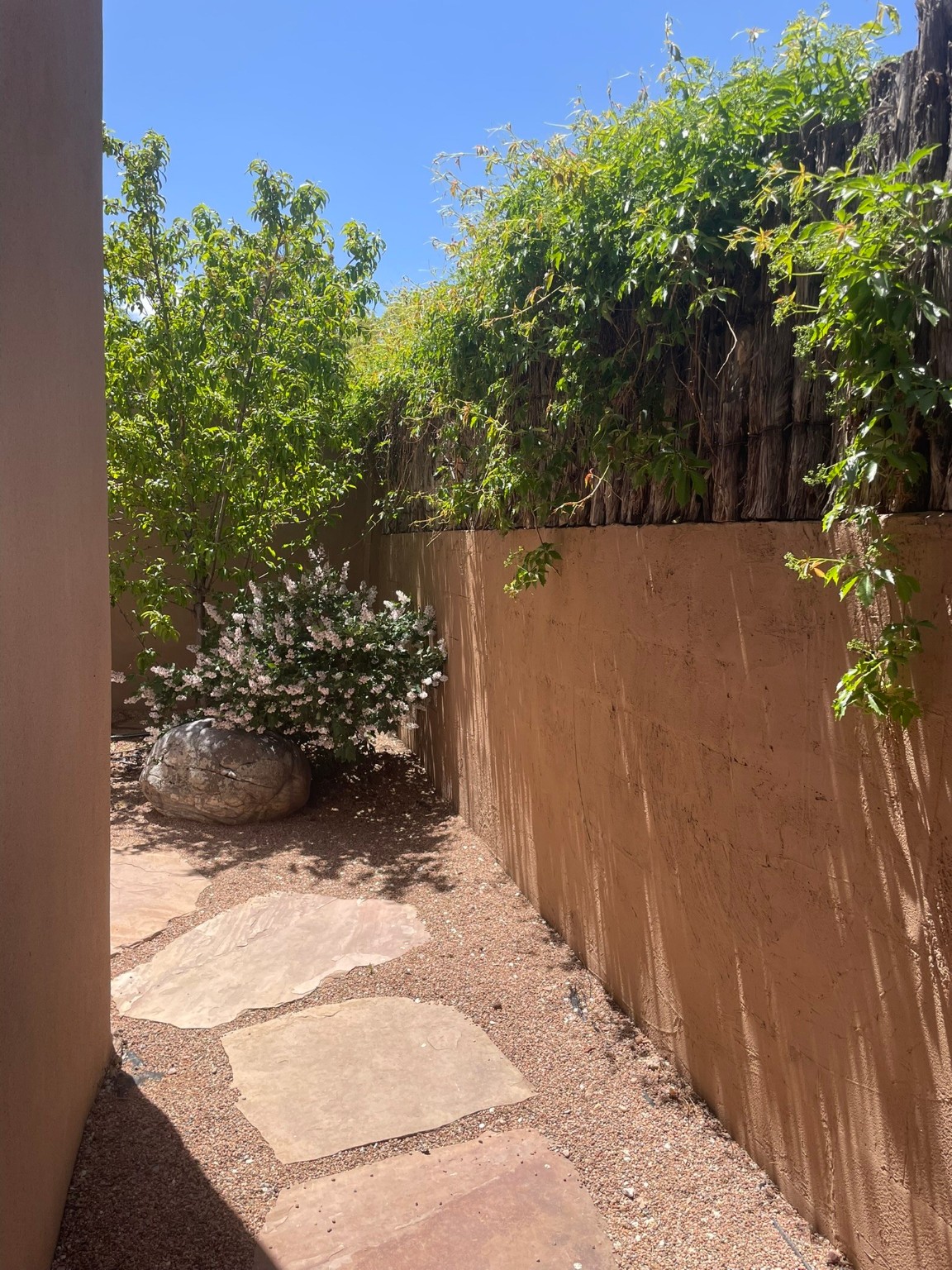 856 E Palace Avenue, Santa Fe, New Mexico image 22