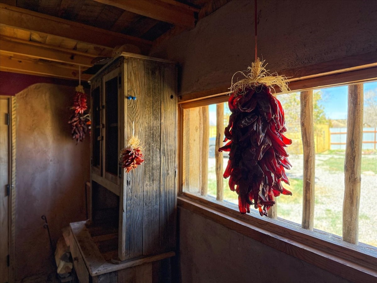 104 County Road 496, La Jara, New Mexico image 10