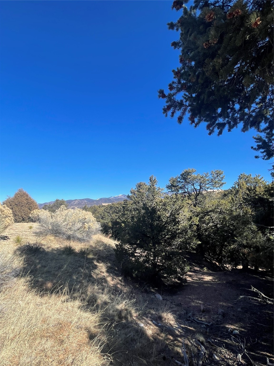 2959 Broken Sherd Trail, Santa Fe, New Mexico image 3