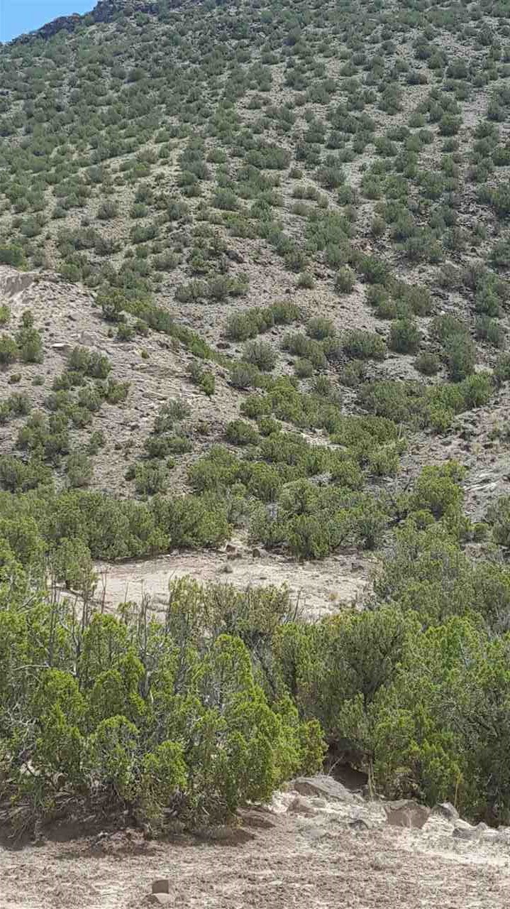 LOT 3 Bloc 3, Cedar Ridge Subdivision, Ojo Caliente, New Mexico image 5