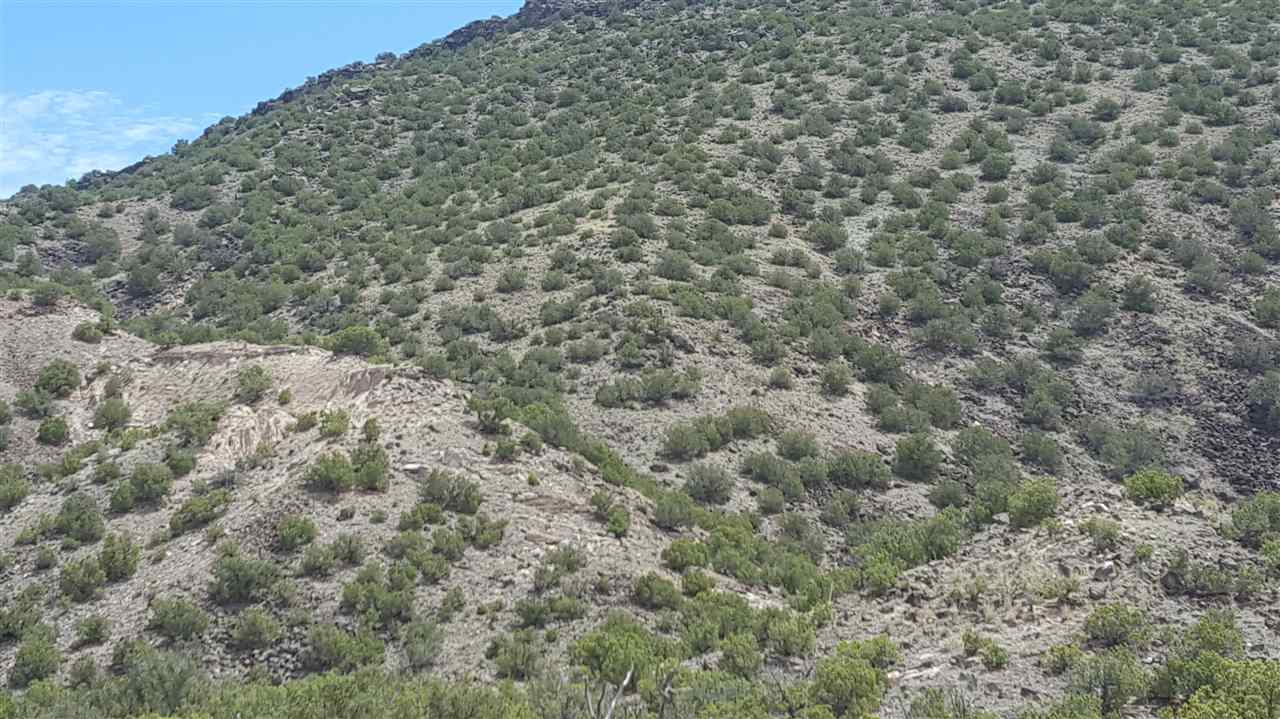 LOT 3 Bloc 3, Cedar Ridge Subdivision, Ojo Caliente, New Mexico image 3