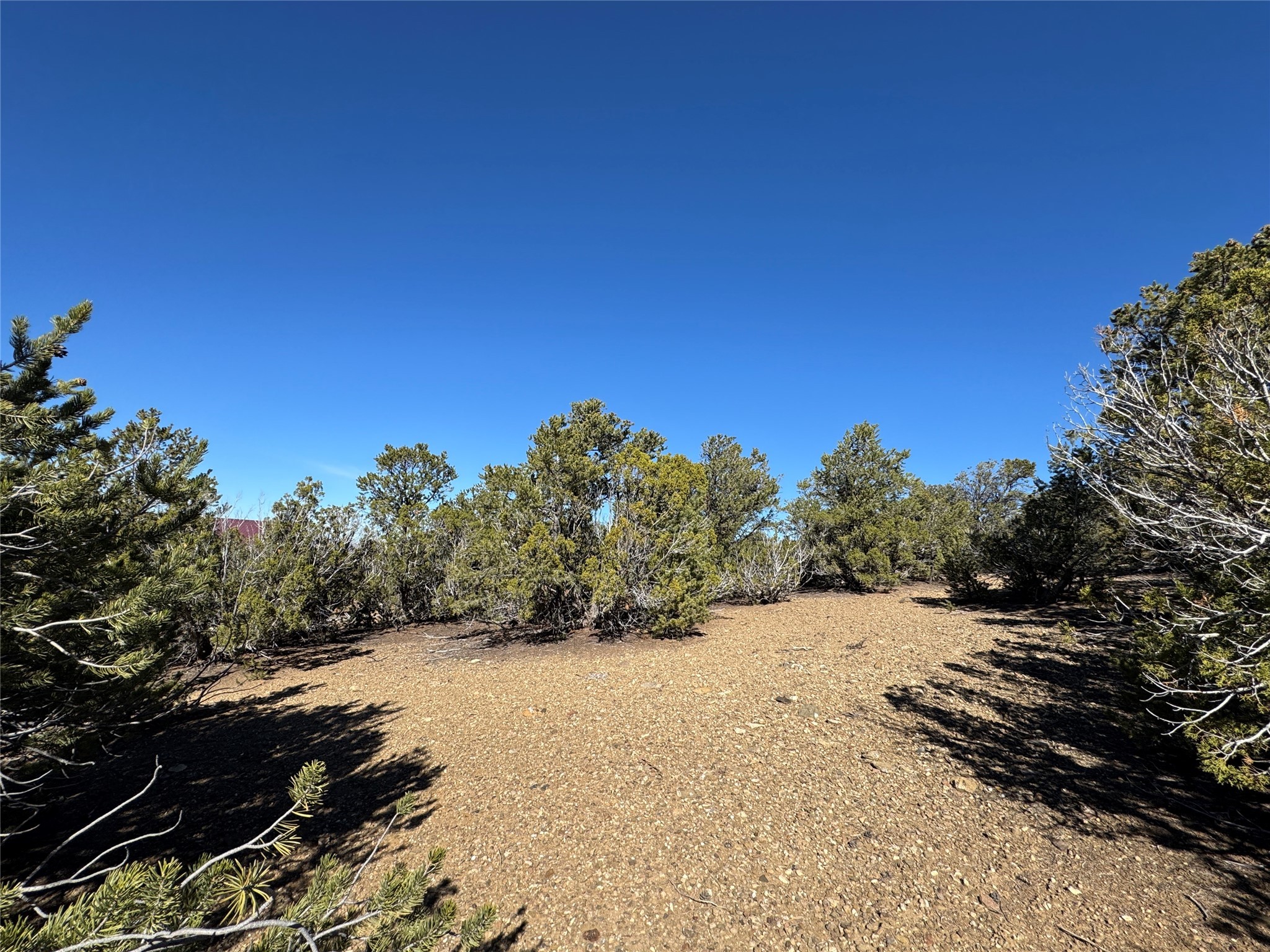 Tract 4 Verde Road, Taos, New Mexico image 2