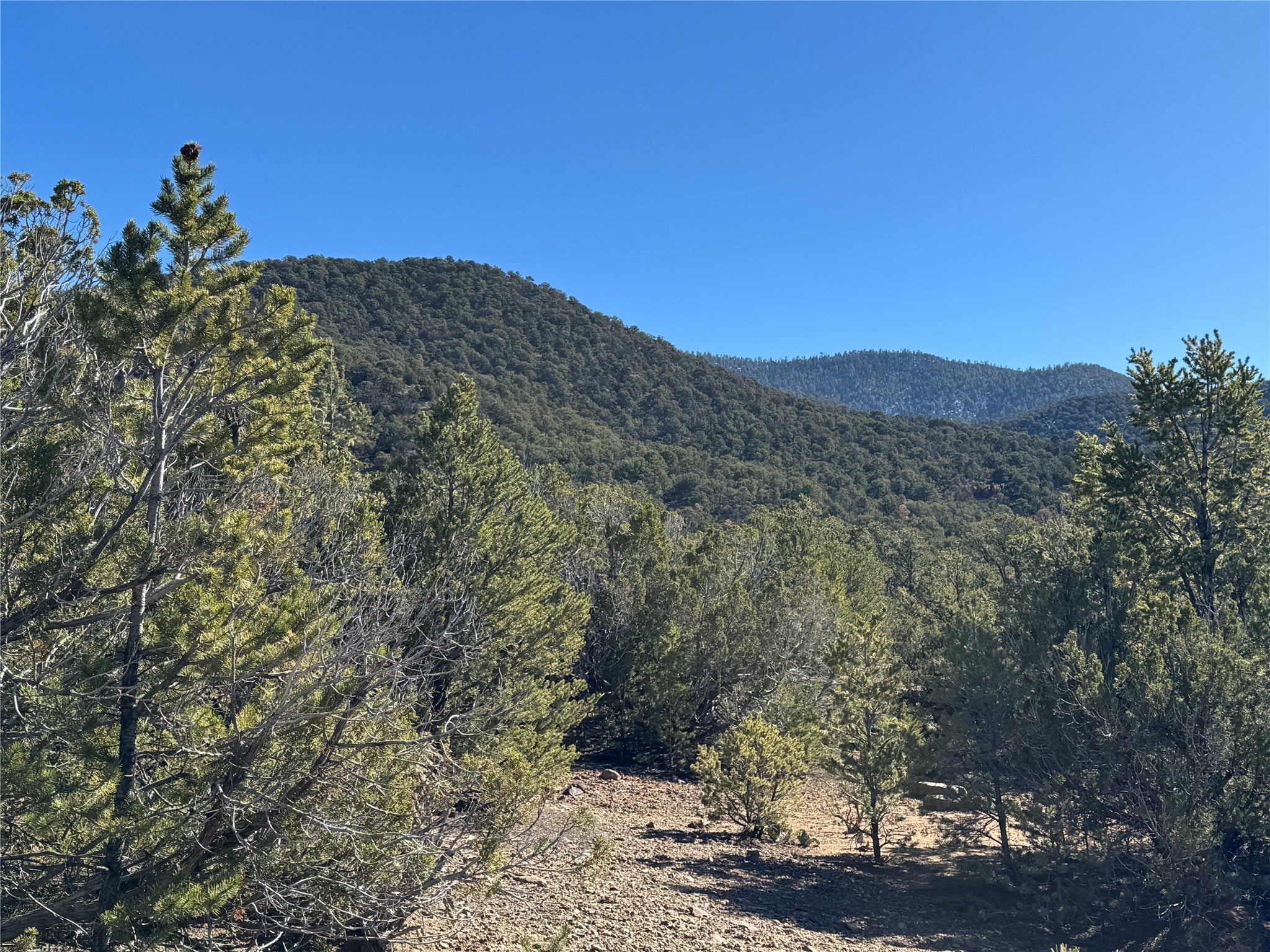 Tract 4 Verde Road, Taos, New Mexico image 1