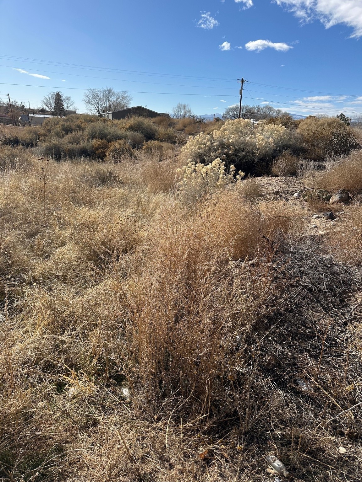 TBD Cr 41, Alcalde, New Mexico image 14