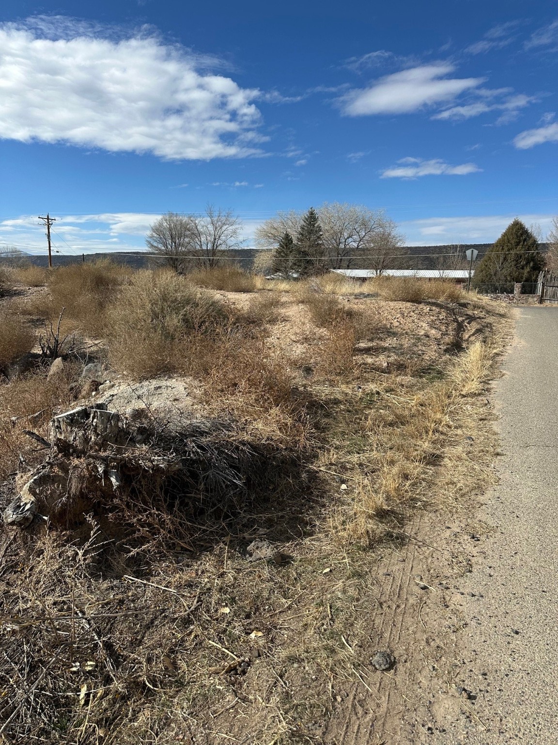 TBD Cr 41, Alcalde, New Mexico image 12