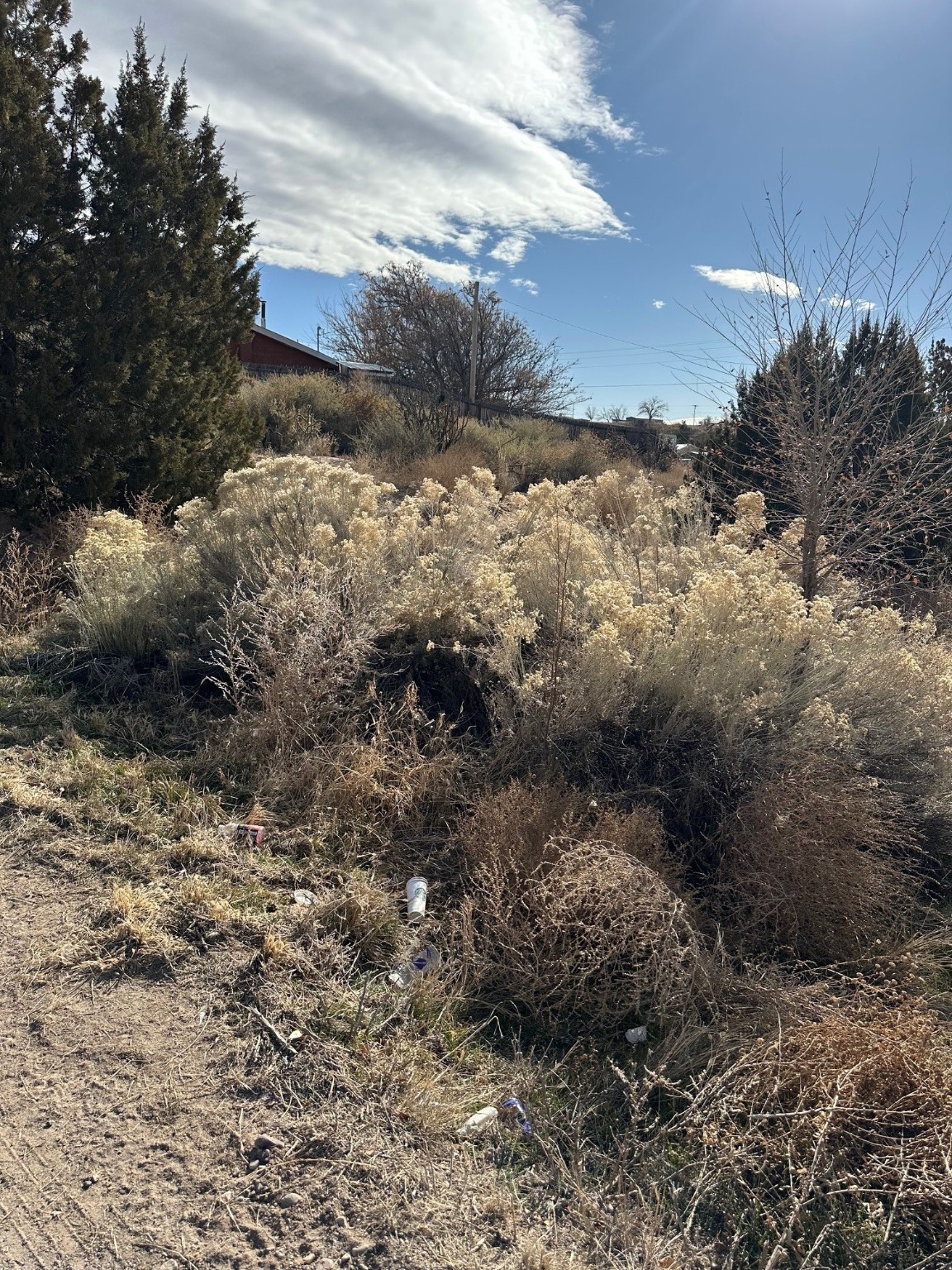 TBD Cr 41, Alcalde, New Mexico image 16