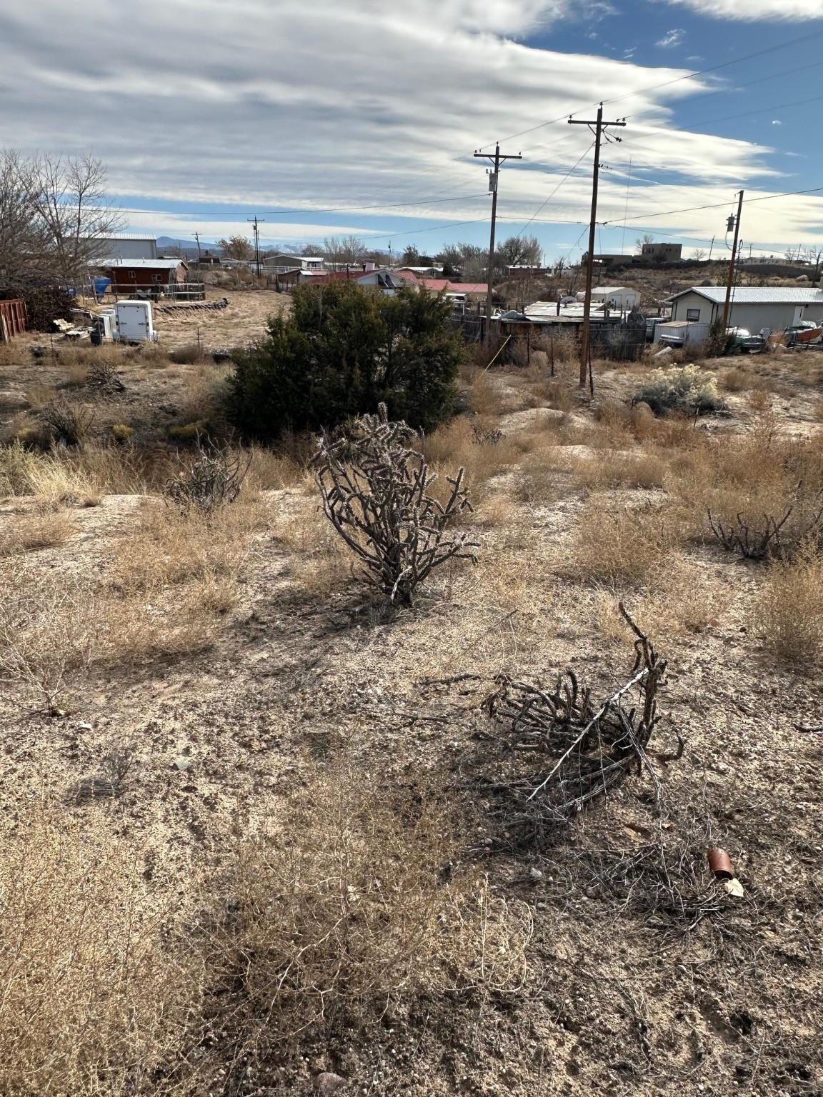 TBD Cr 41, Alcalde, New Mexico image 6