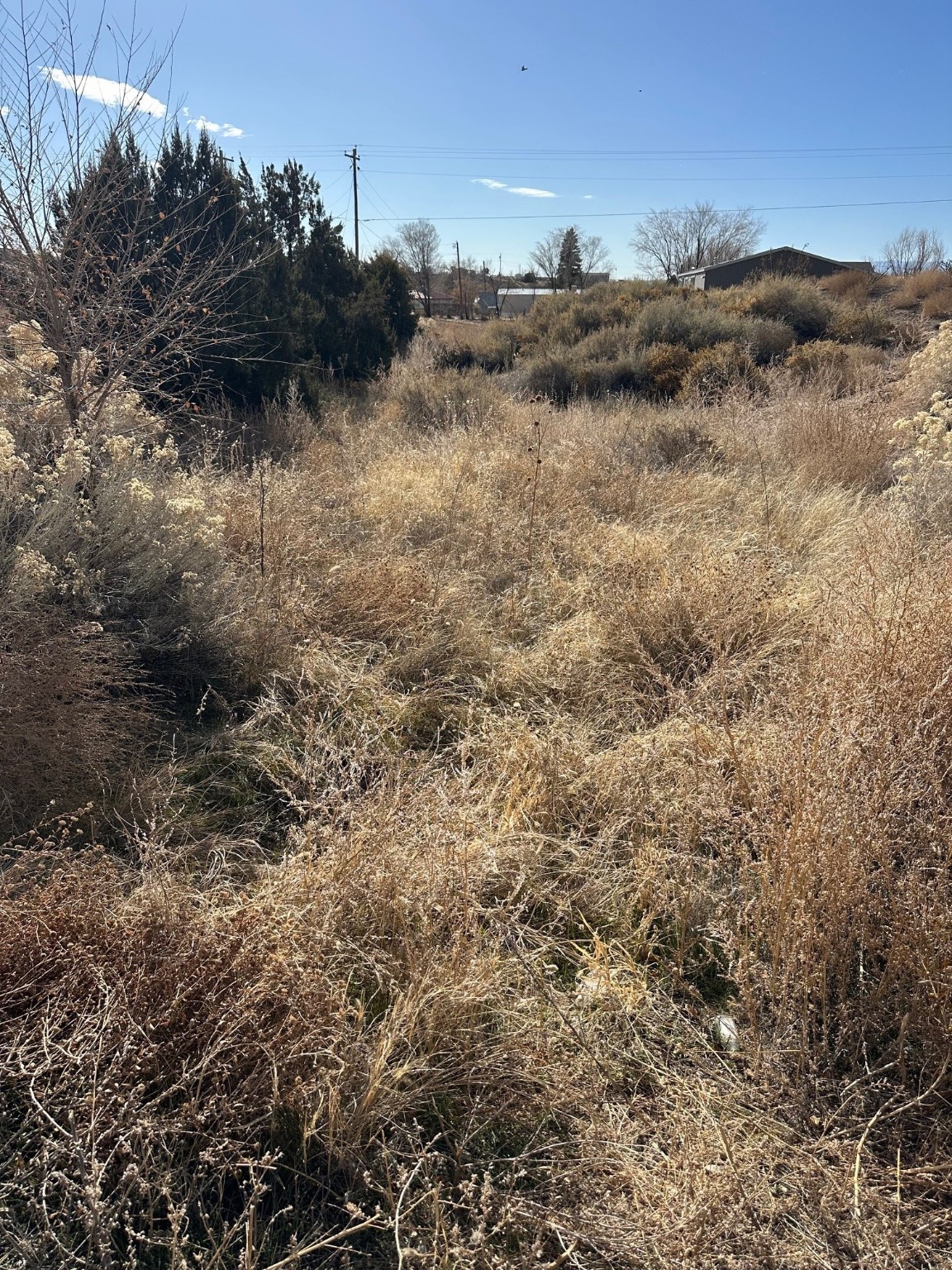 TBD Cr 41, Alcalde, New Mexico image 13