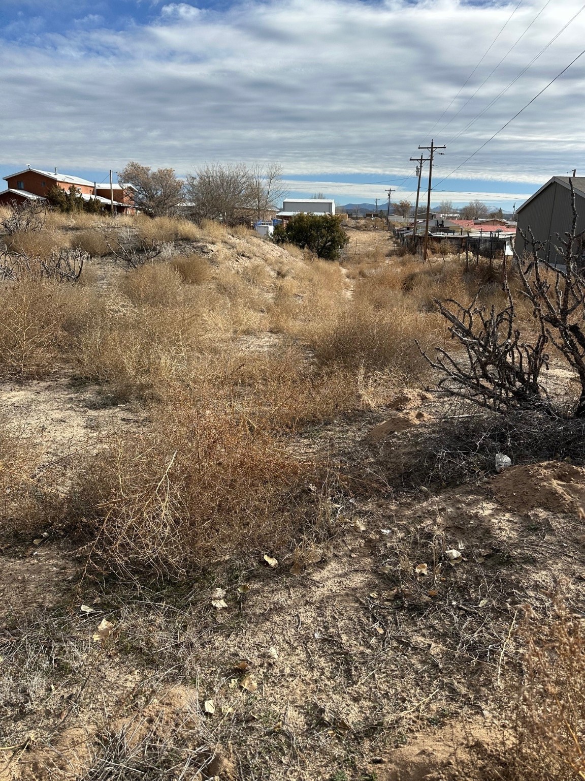 TBD Cr 41, Alcalde, New Mexico image 3