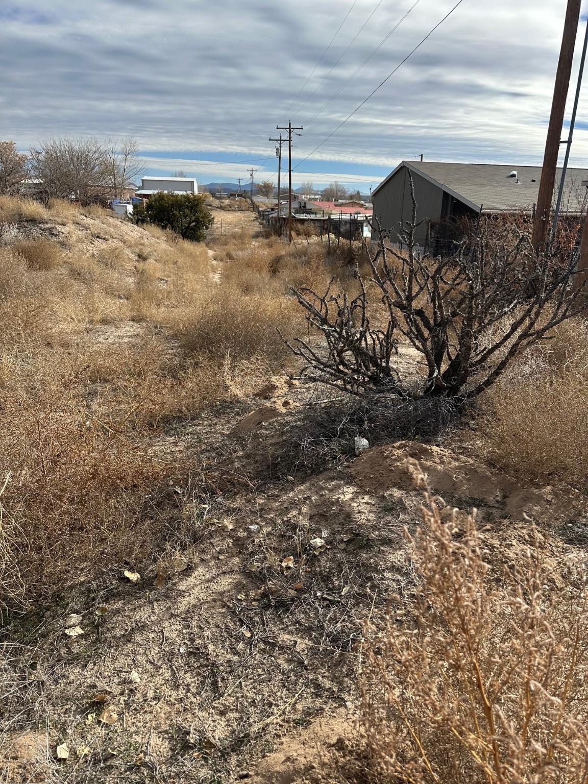 TBD Cr 41, Alcalde, New Mexico image 11