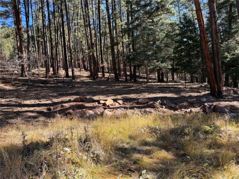 Vacant Land For Sale - TBD Brazos Lodge Spruce<br/> Rio Arriba County, Chama, NM 87520