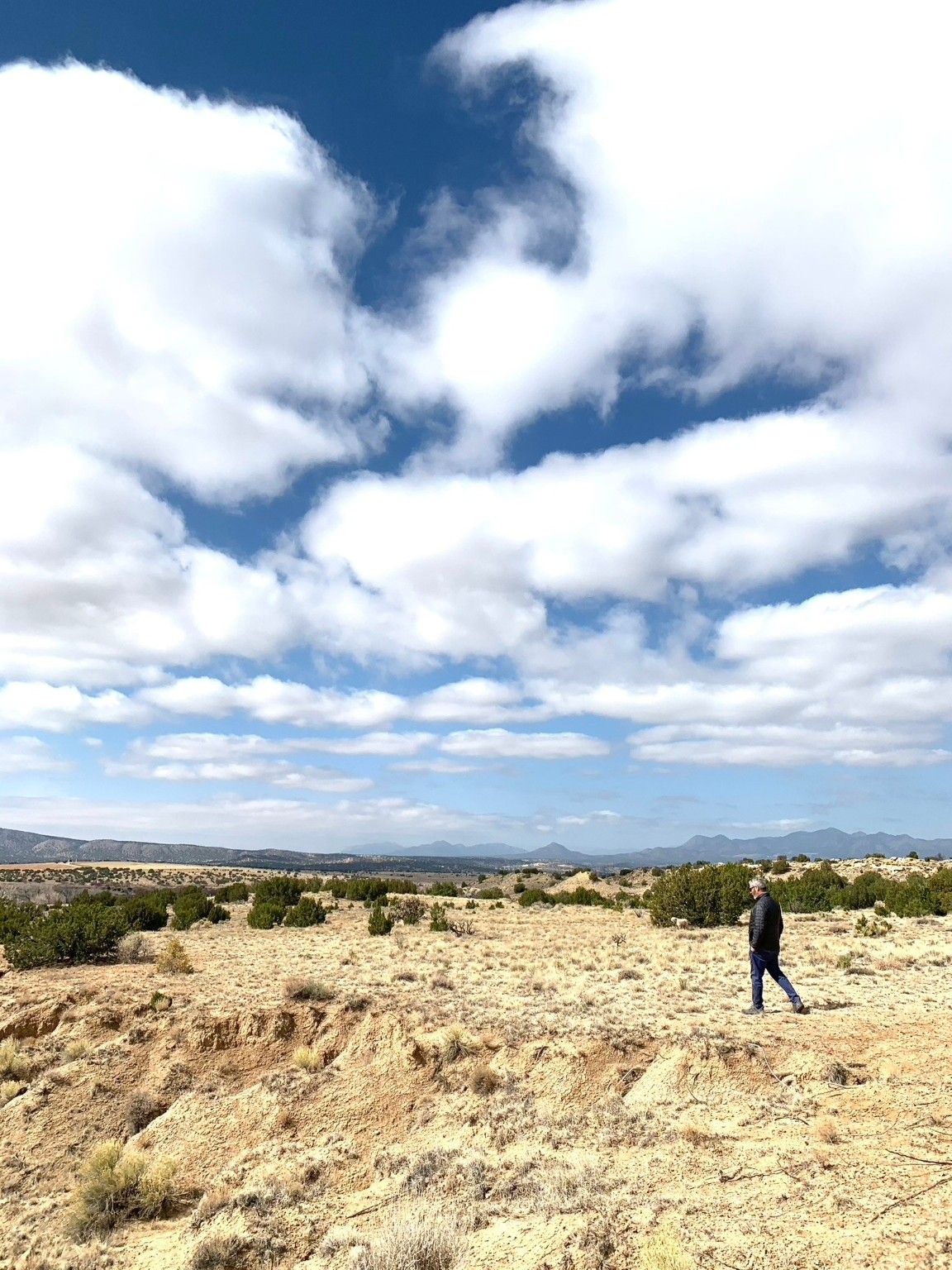 43 Camino Libre, Galisteo, New Mexico image 8