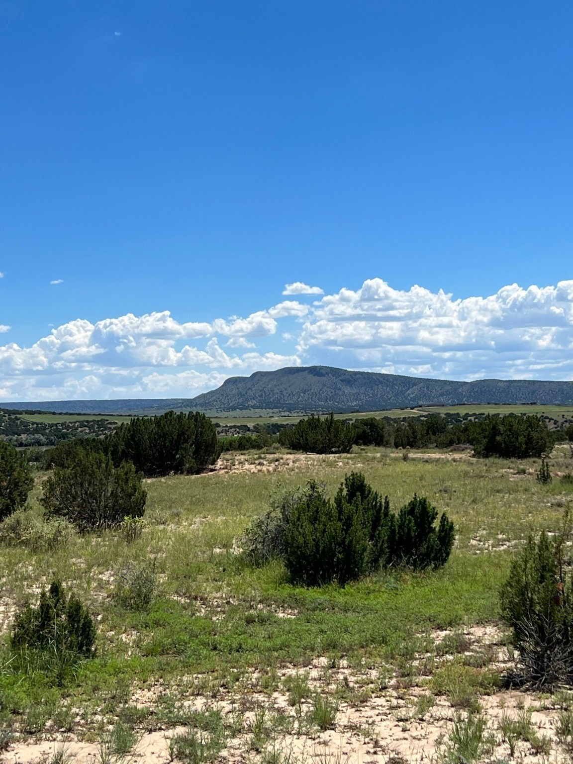 43 Camino Libre, Galisteo, New Mexico image 3