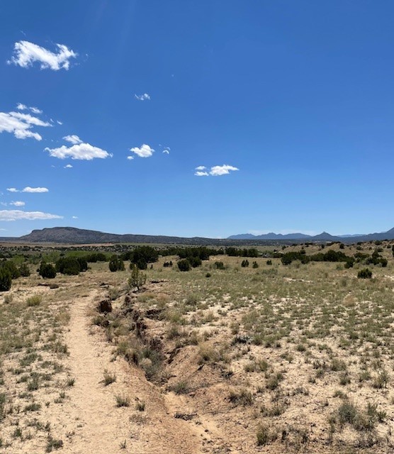 43 Camino Libre, Galisteo, New Mexico image 2