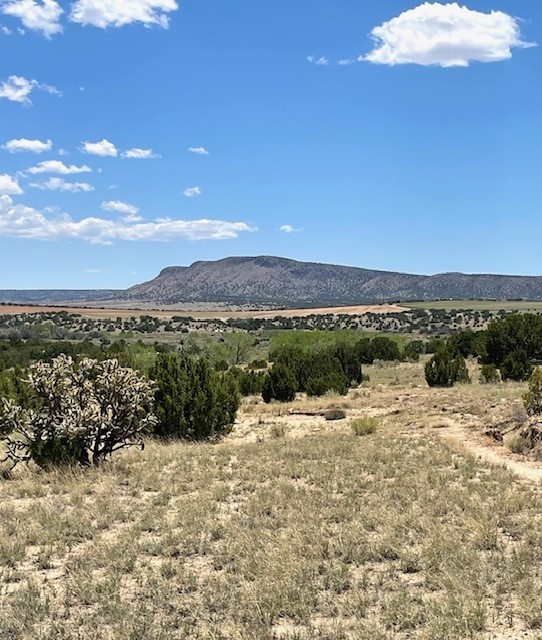 43 Camino Libre, Galisteo, New Mexico image 4