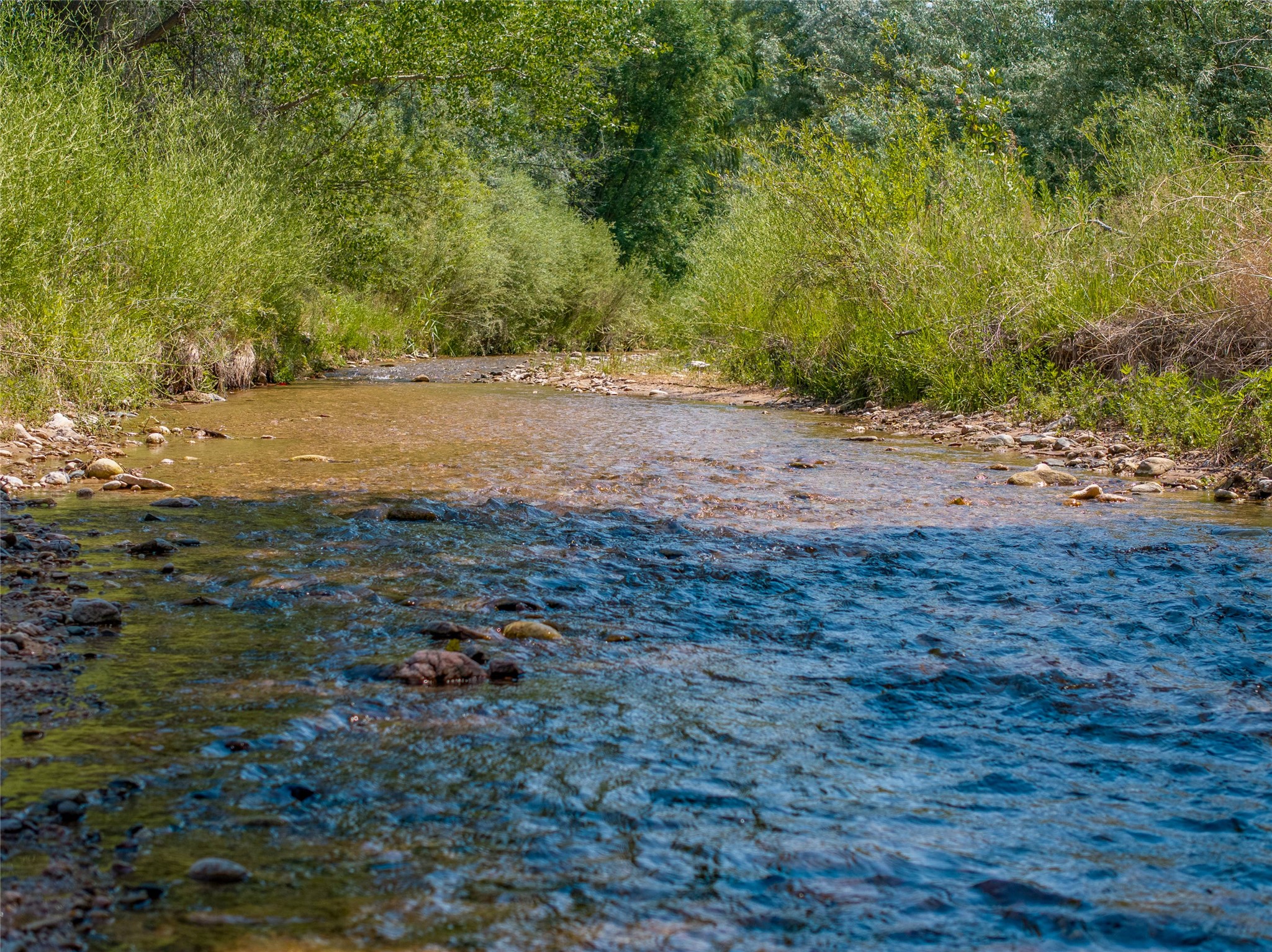 Santa Fe, New Mexico 87506, United States, 3 Bedrooms Bedrooms, ,2 BathroomsBathrooms,Residential,Active,183518
