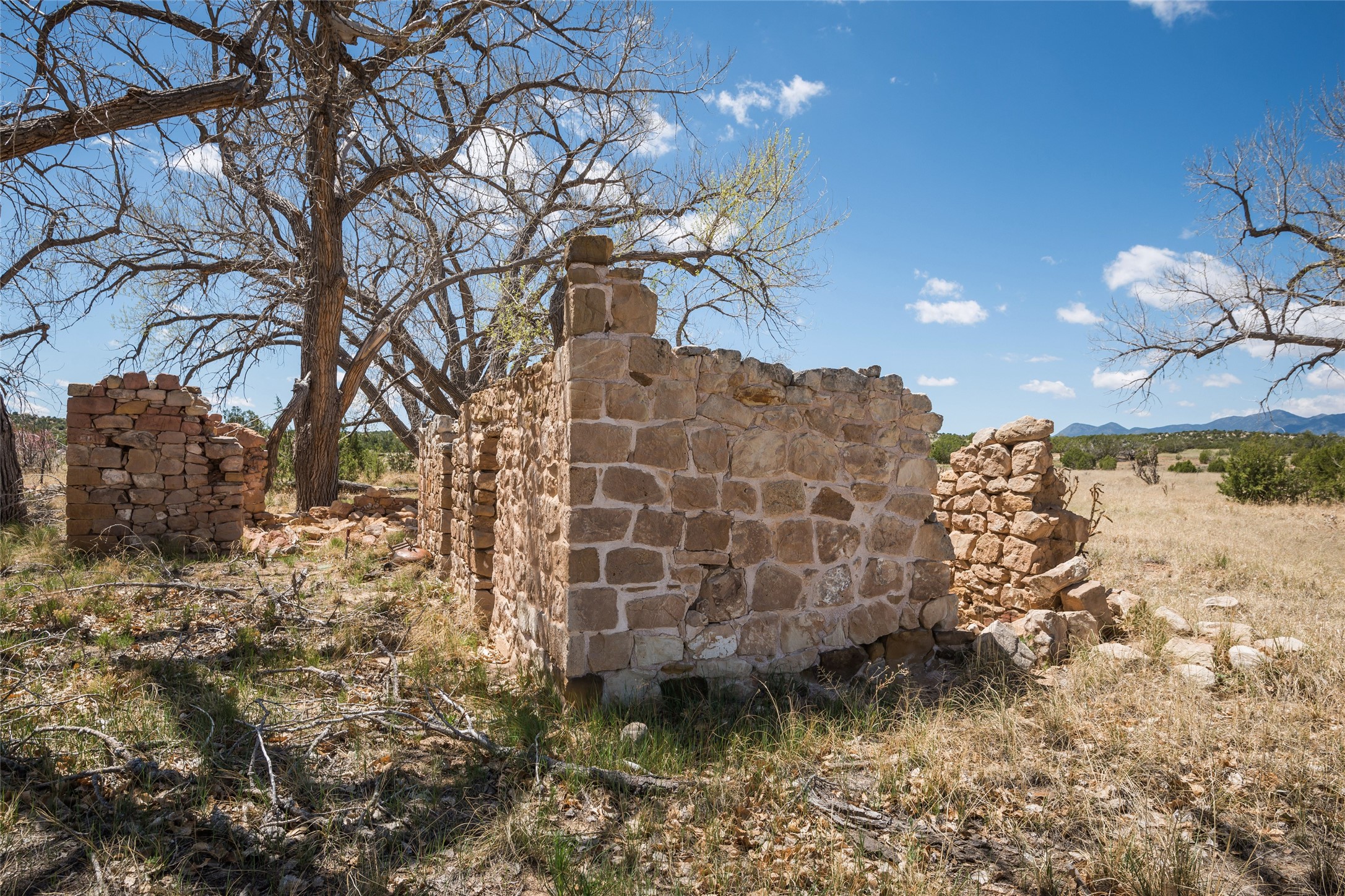 561 General Goodwin Road, Cerrillos, New Mexico image 21