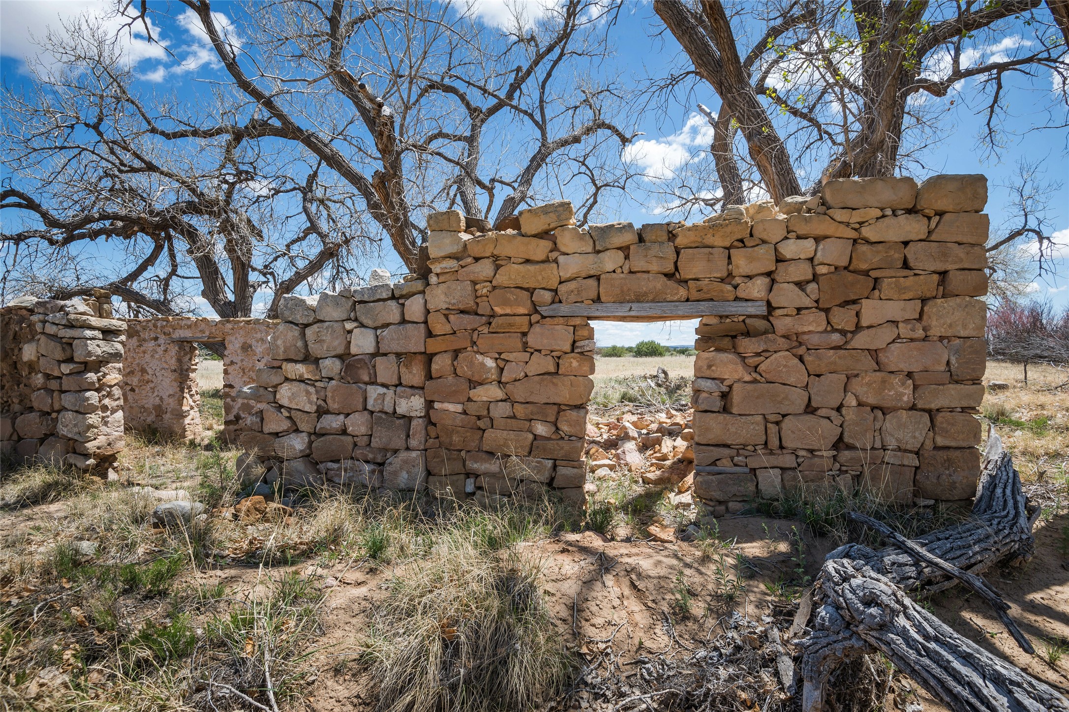 561 General Goodwin Road, Cerrillos, New Mexico image 20