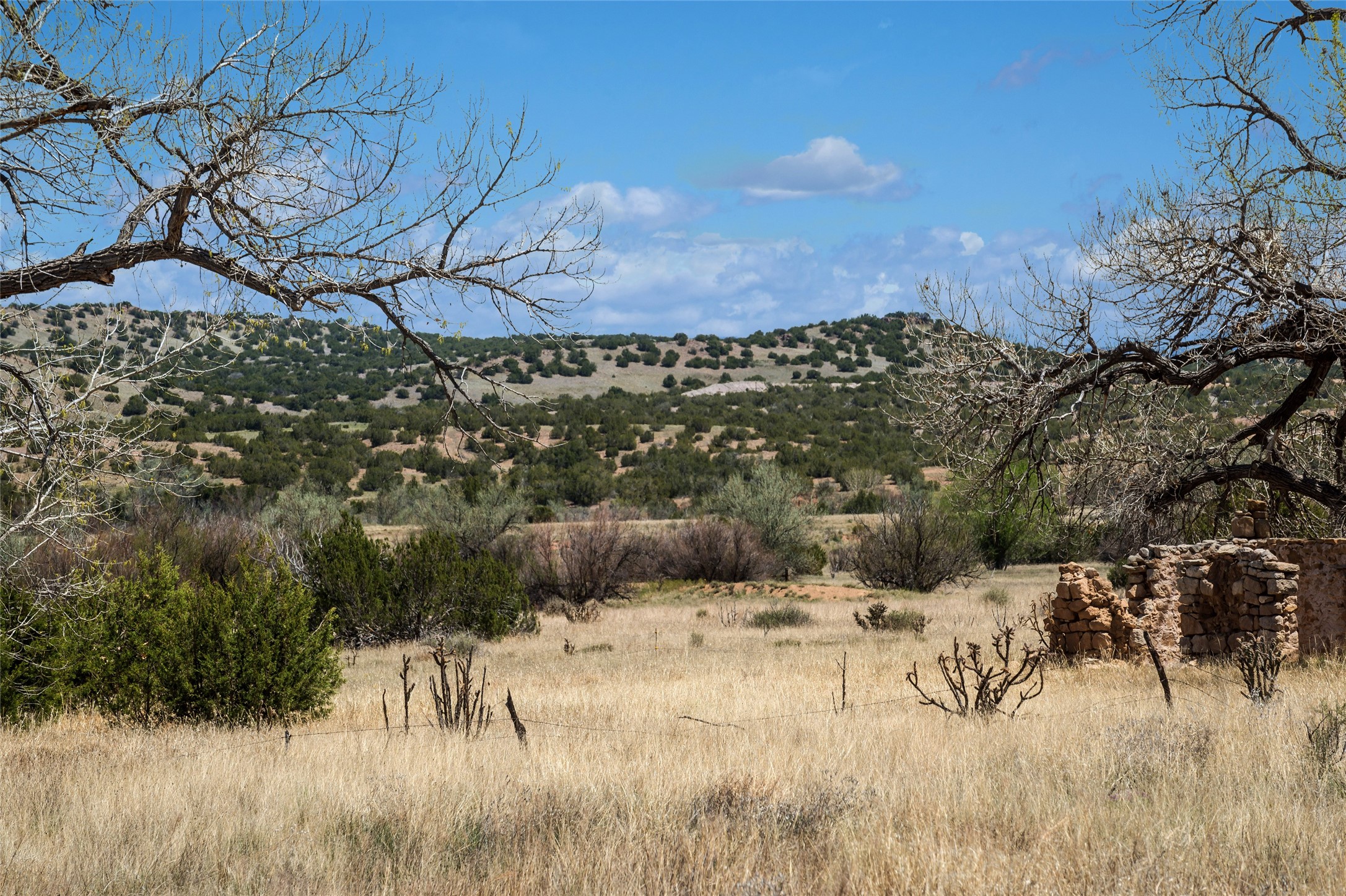 561 General Goodwin Road, Cerrillos, New Mexico image 18