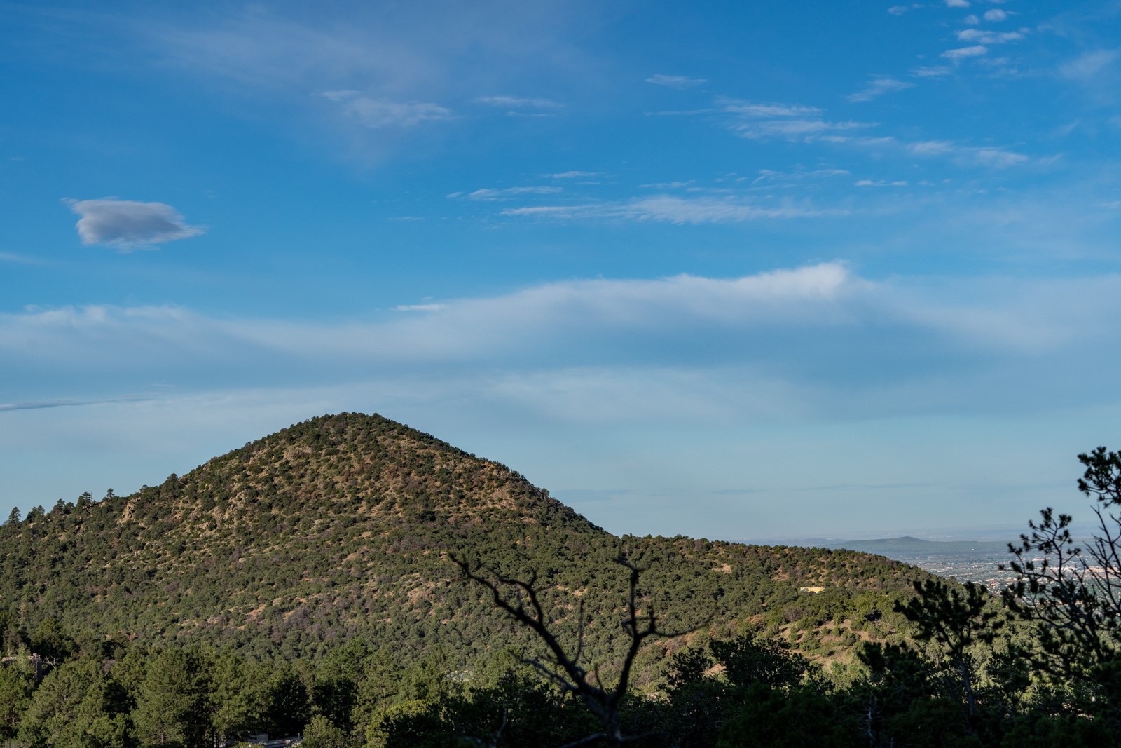 1124 E Ridge Rd, Santa Fe, New Mexico image 26