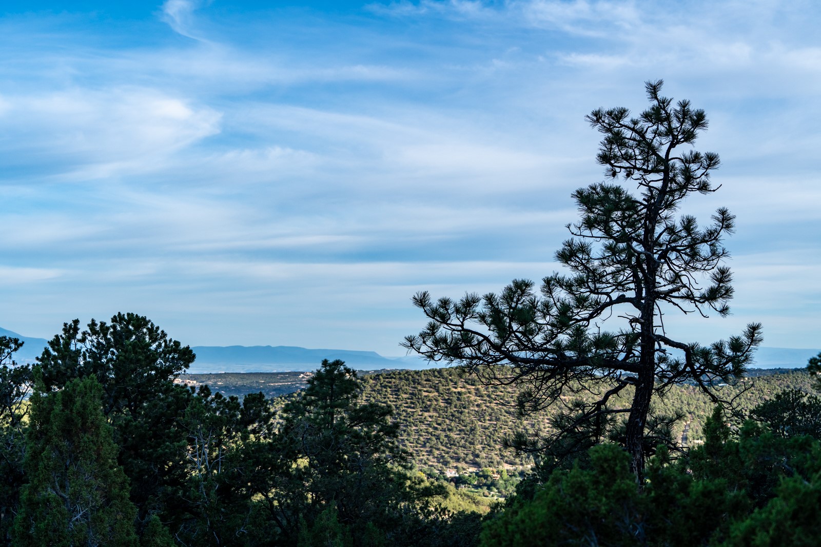 1124 E Ridge Rd, Santa Fe, New Mexico image 20