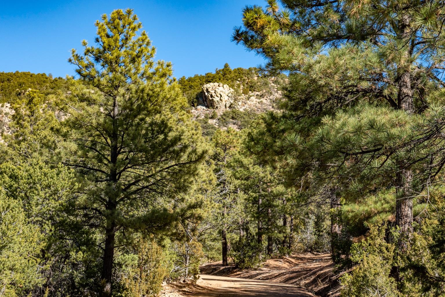 1124 E Ridge Rd, Santa Fe, New Mexico image 43