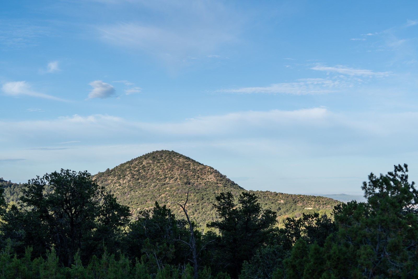 1124 E Ridge Rd, Santa Fe, New Mexico image 19