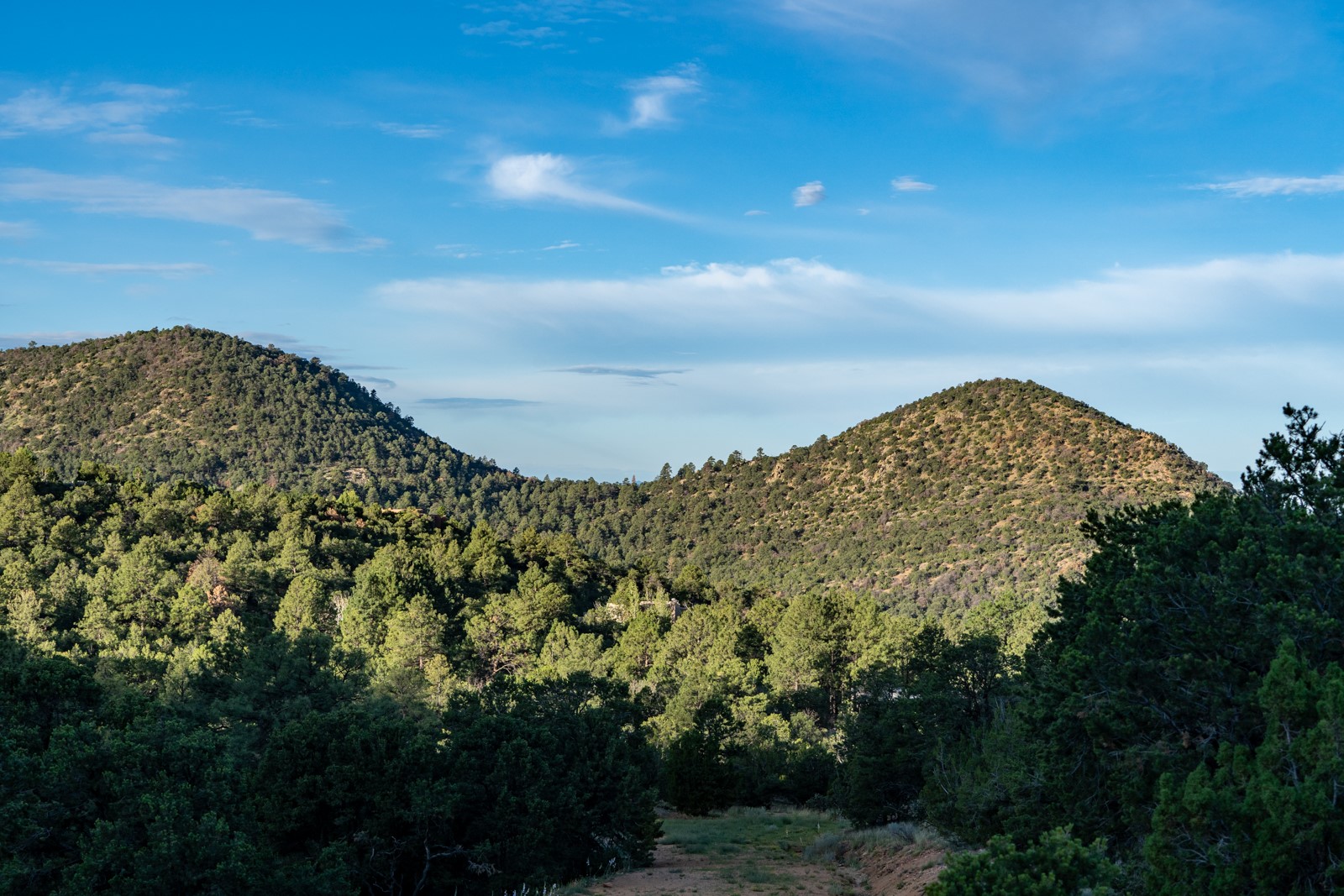 1124 E Ridge Rd, Santa Fe, New Mexico image 17