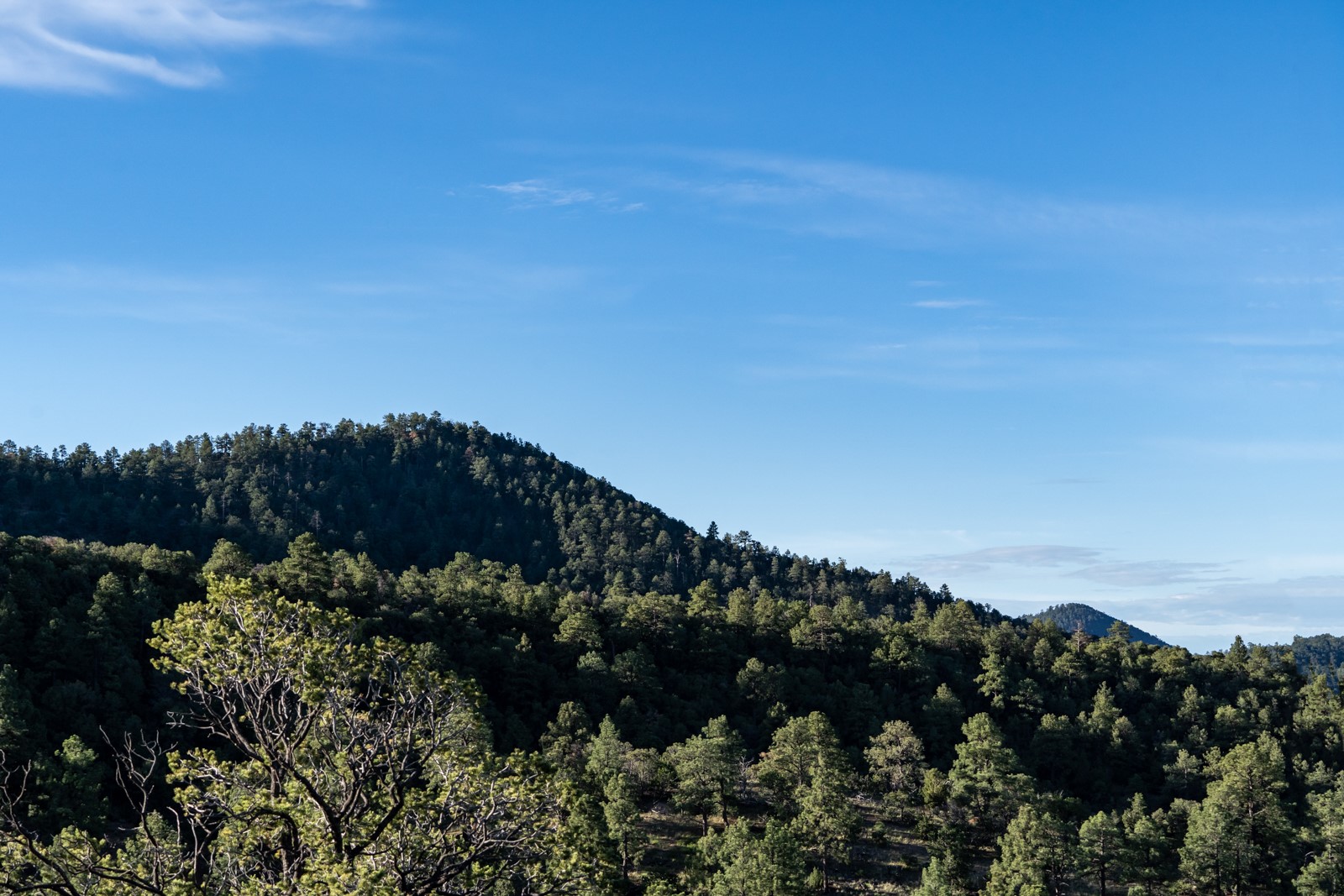 1124 E Ridge Rd, Santa Fe, New Mexico image 30