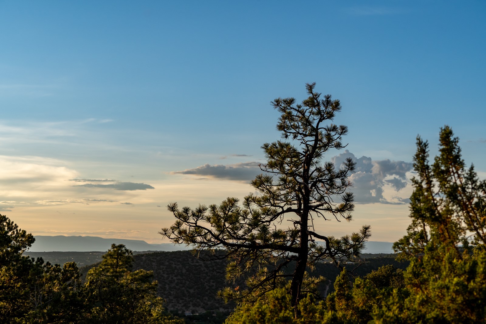 1124 E Ridge Rd, Santa Fe, New Mexico image 39