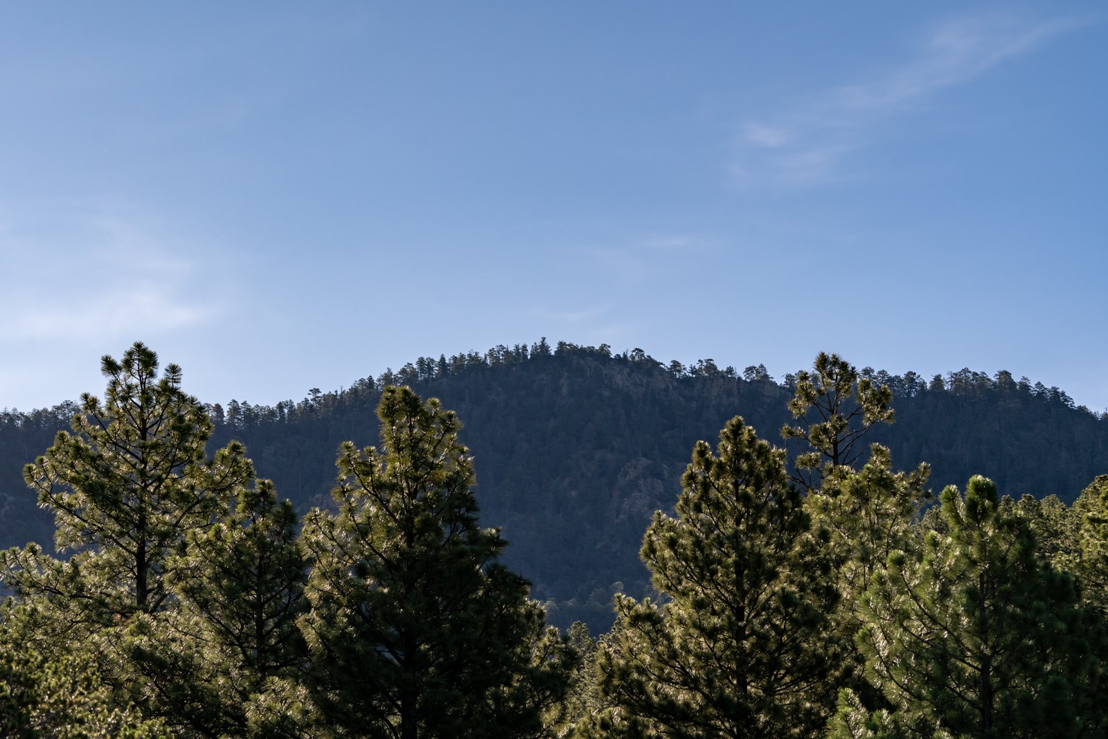 1124 E Ridge Rd, Santa Fe, New Mexico image 34