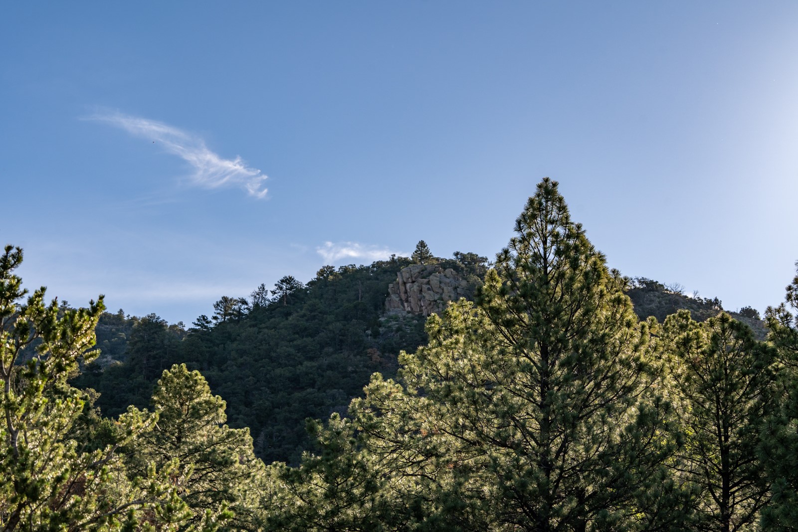 1124 E Ridge Rd, Santa Fe, New Mexico image 35