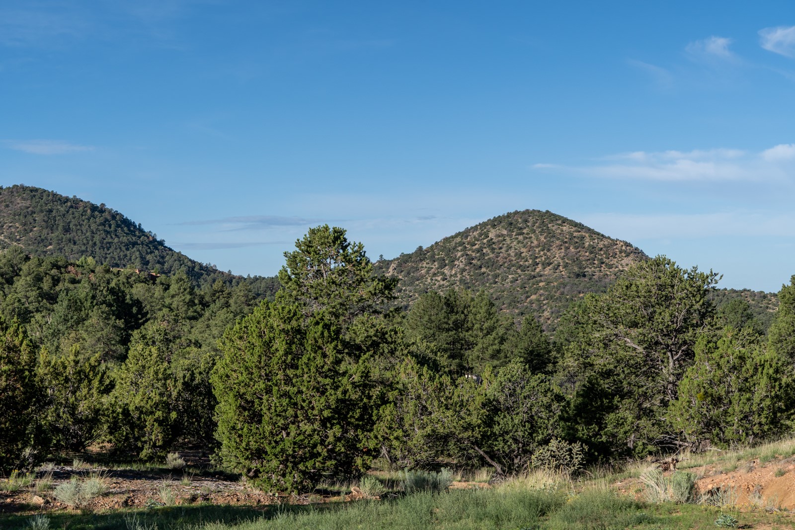 1124 E Ridge Rd, Santa Fe, New Mexico image 33