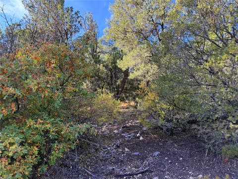 Vacant Land For Sale - 9 Peterson Rd.<br/> Edgewood, NM 87015