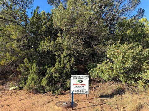 Vacant Land For Sale - 9 Peterson Rd.<br/> Edgewood, NM 87015