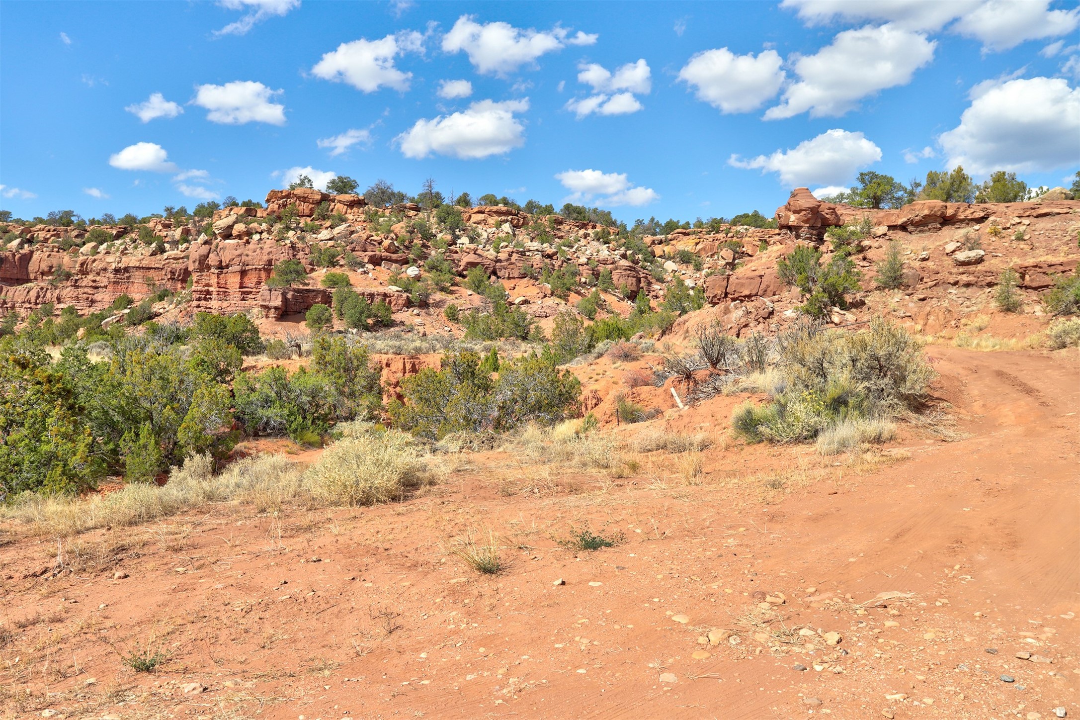 3159 State Highway 96, Coyote, New Mexico image 34