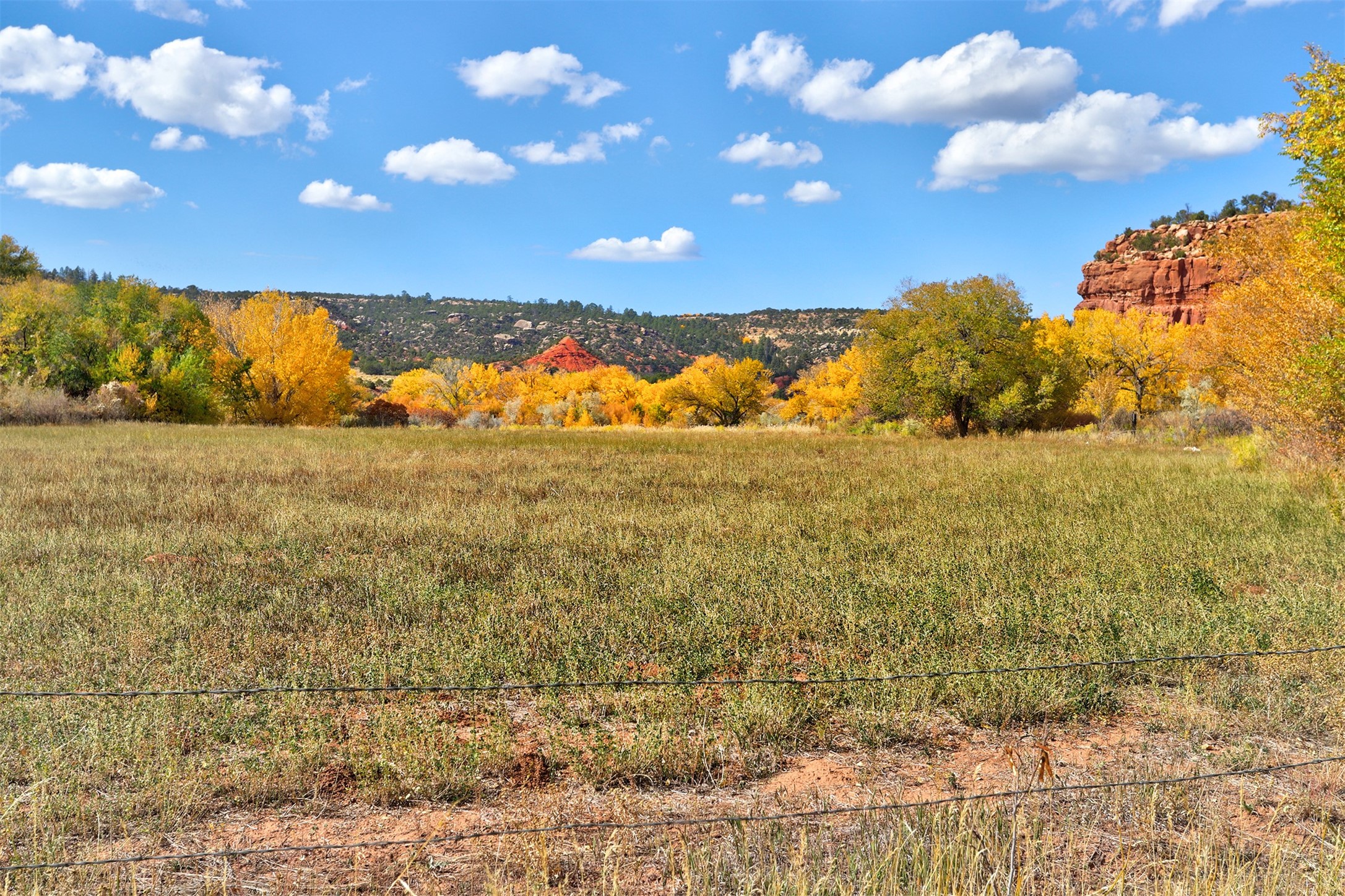 3159 State Highway 96, Coyote, New Mexico image 31