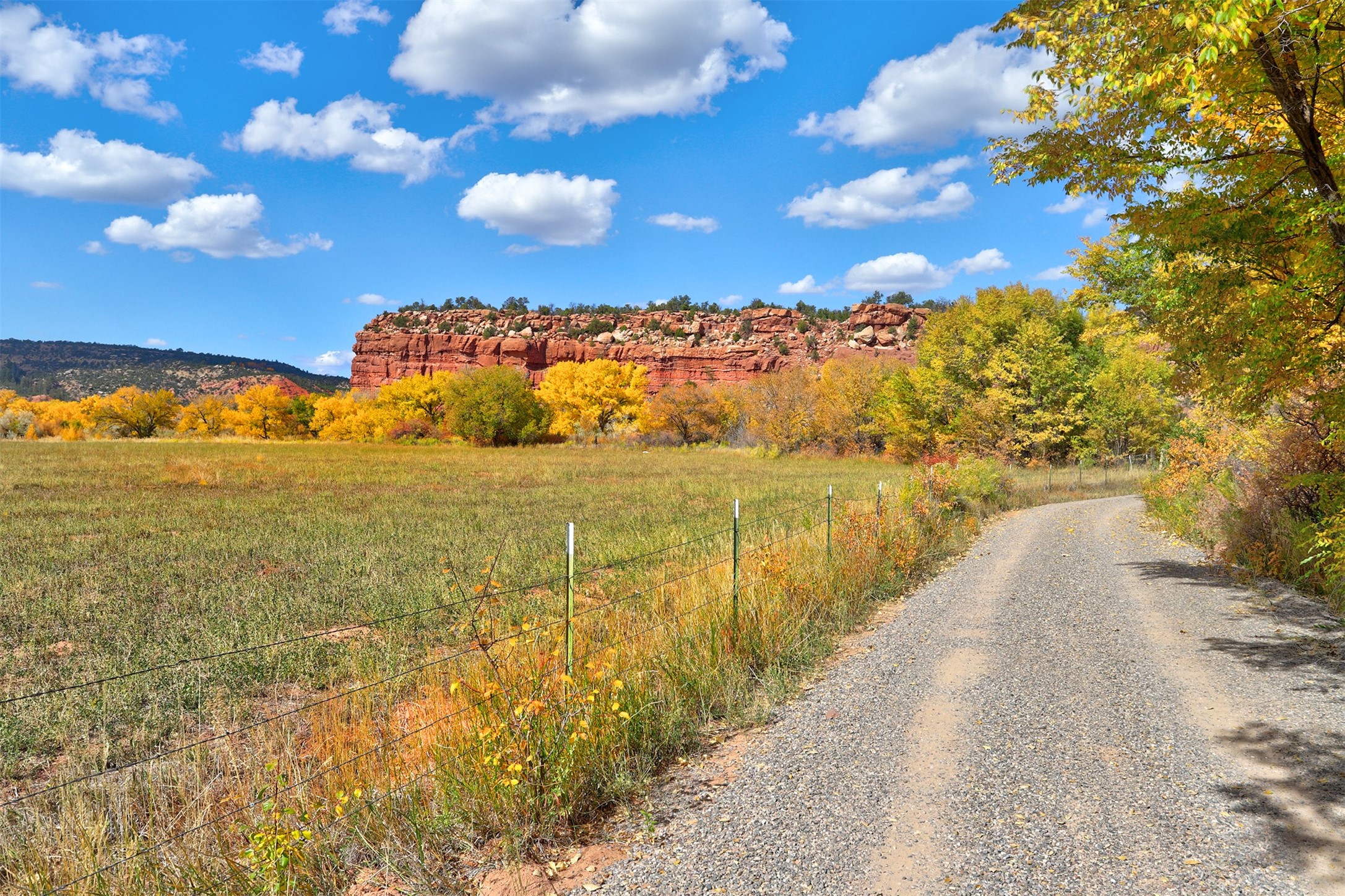 3159 State Highway 96, Coyote, New Mexico image 30