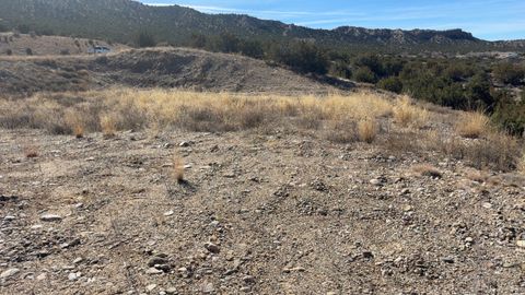 Vacant Land For Sale - 1378 STATE RD 68<br/> Rio Arriba County, Velarde, NM 87582