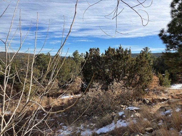 4 Romeroville Frontage Road, Las Vegas, New Mexico image 9