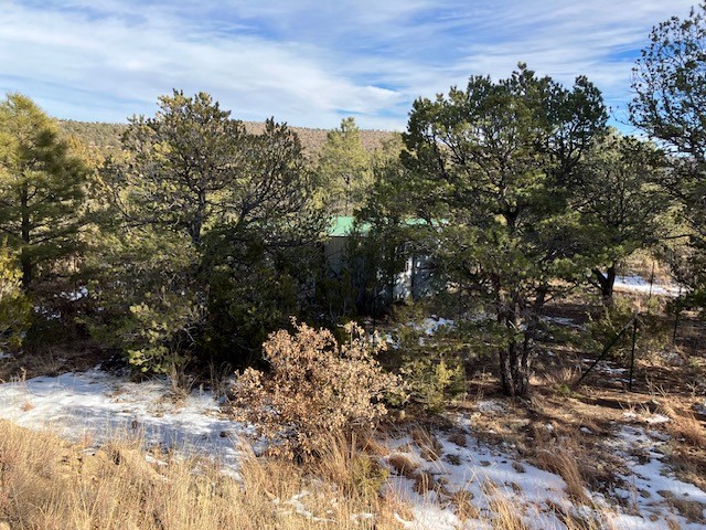 4 Romeroville Frontage Road, Las Vegas, New Mexico image 10