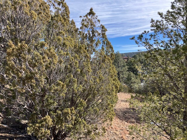 4 Romeroville Frontage Road, Las Vegas, New Mexico image 8