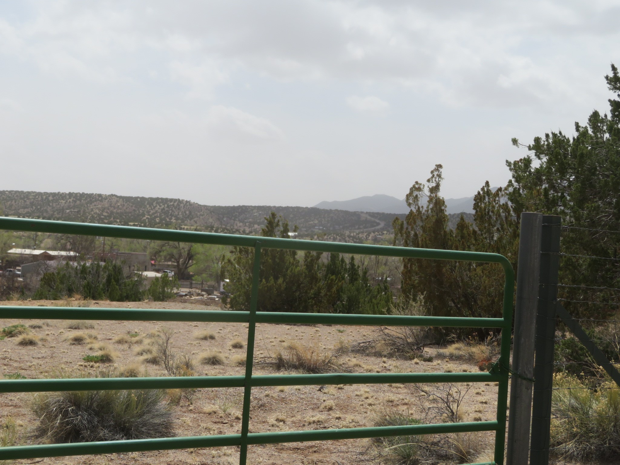 Yerba Buena, Cerrillos, New Mexico image 7