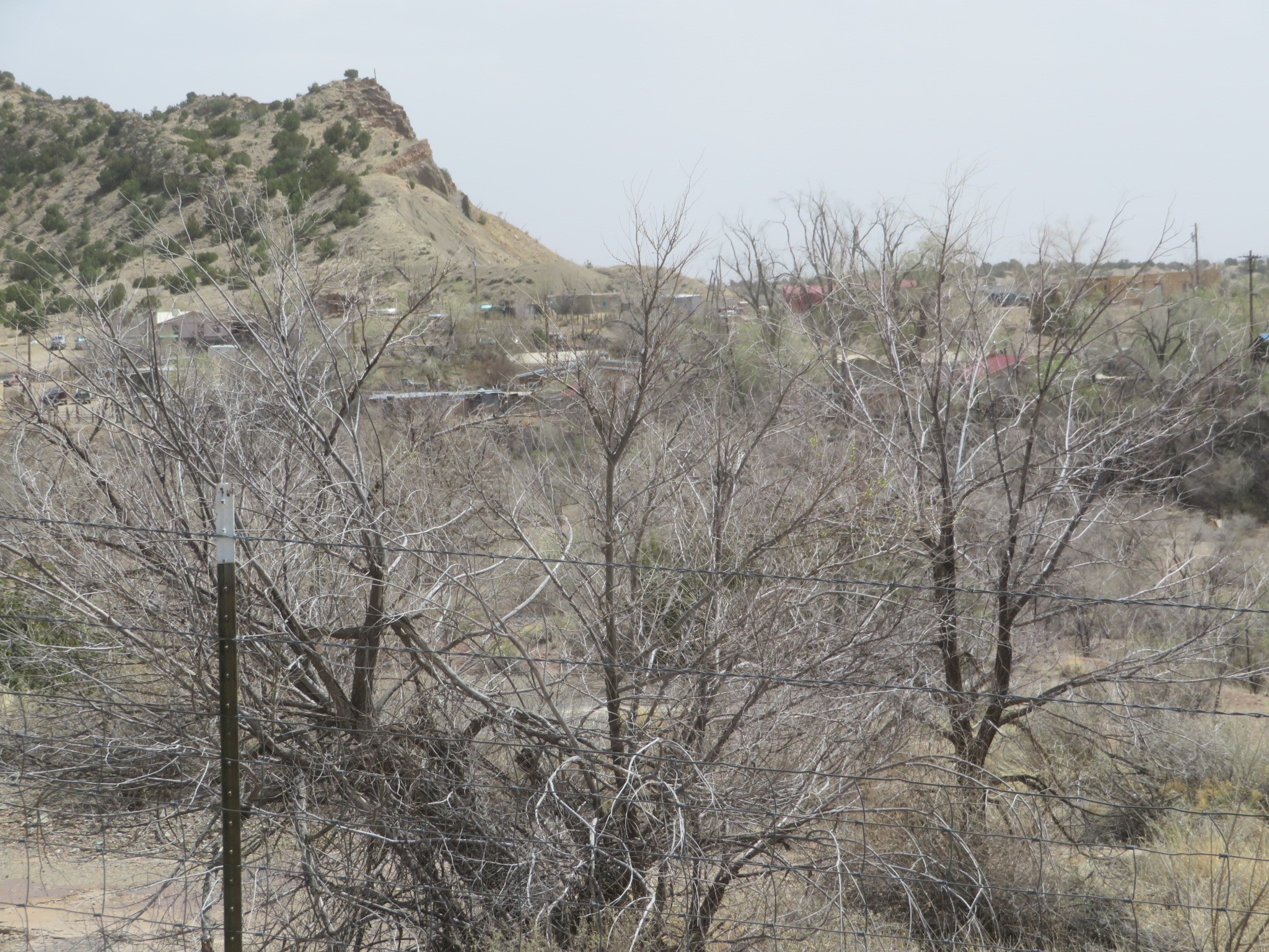 Yerba Buena, Cerrillos, New Mexico image 9