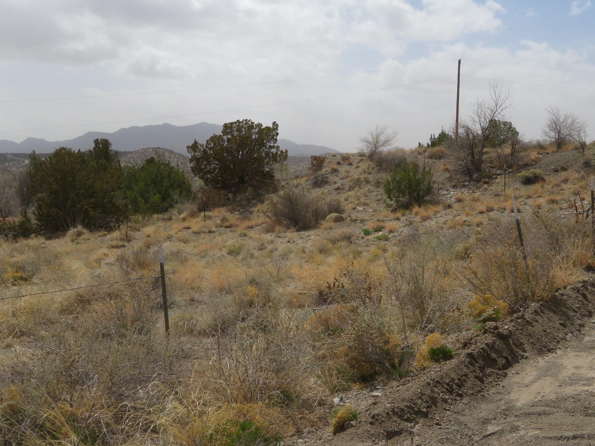 Yerba Buena, Cerrillos, New Mexico image 2